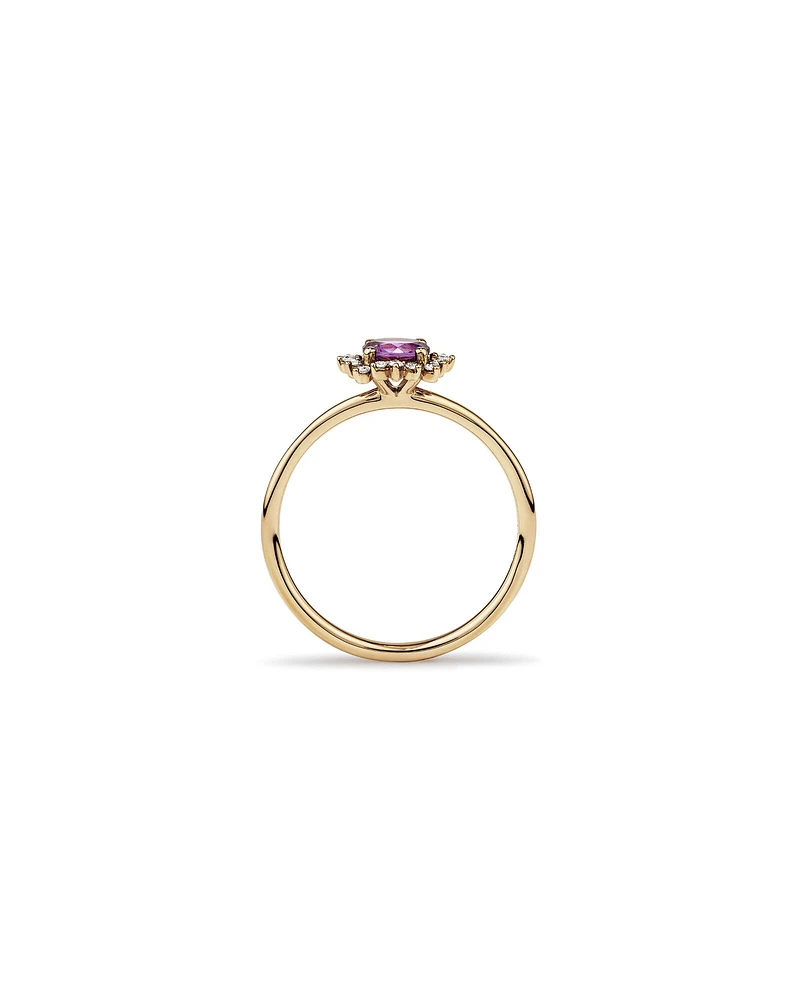 Amethyst &  Diamond Scatter Halo Ring in 10kt Yellow Gold