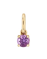 Round Purple Amethyst Birthstone Pendant in 10kt Yellow Gold