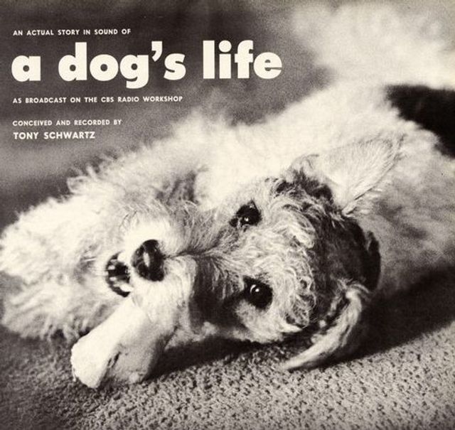 An Actual Story in Sound of a Dog's Life