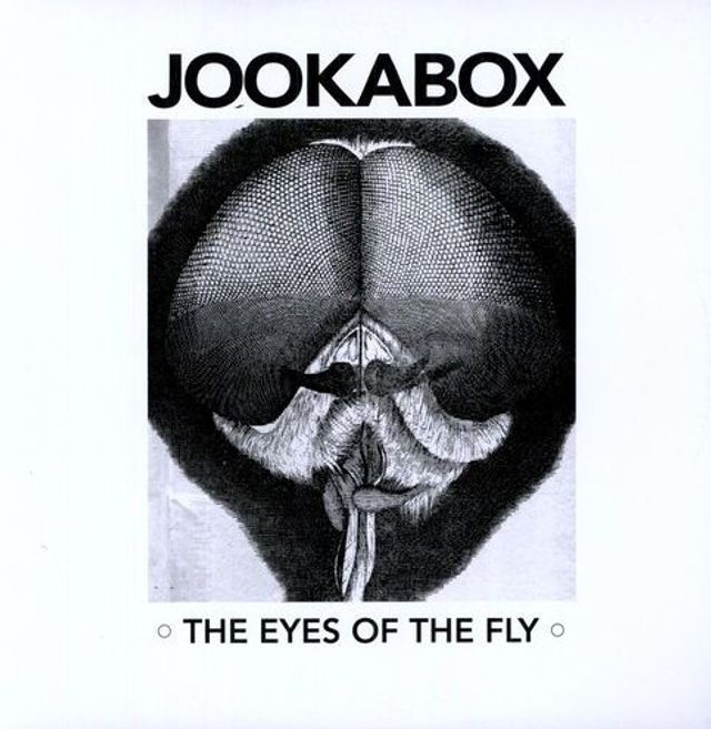 The Eyes of the Fly