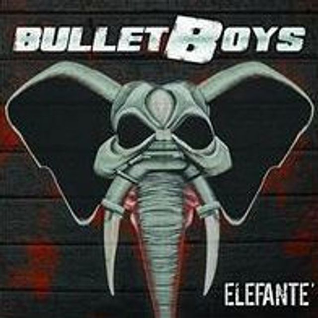 Elefant¿¿