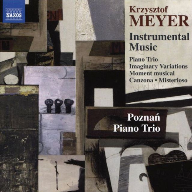 Krzysztof Meyer: Instrumental Music