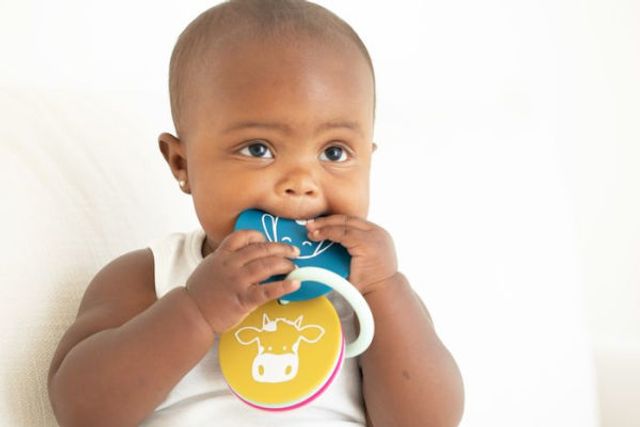 PARTY ANIMALS TEETHING FLASHCARDS