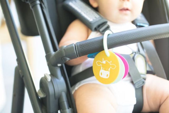 PARTY ANIMALS TEETHING FLASHCARDS