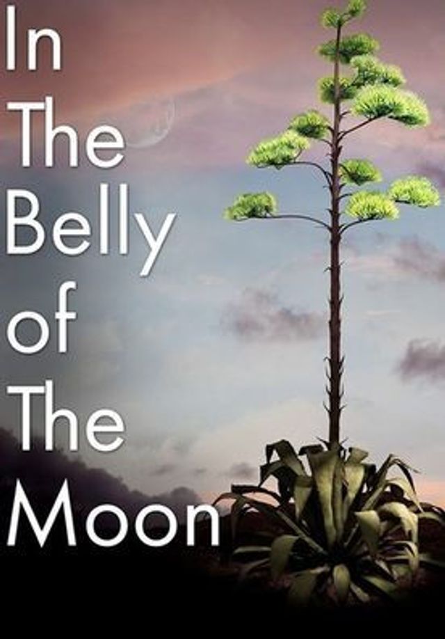 the Belly of Moon