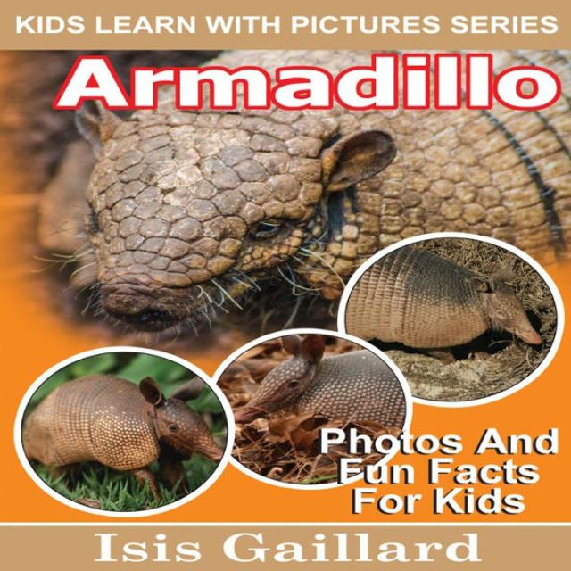 Barnes and Noble Armadillo: Photos and Fun Facts for Kids | The Summit