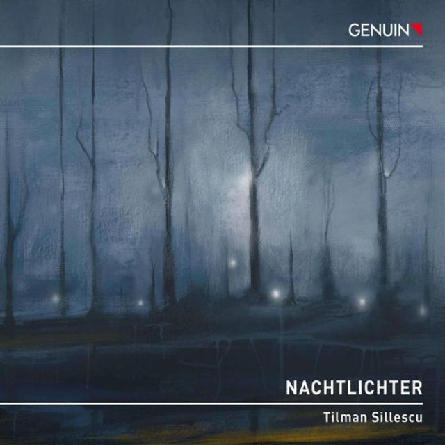 Tilman Sillescu: Nachtlichter