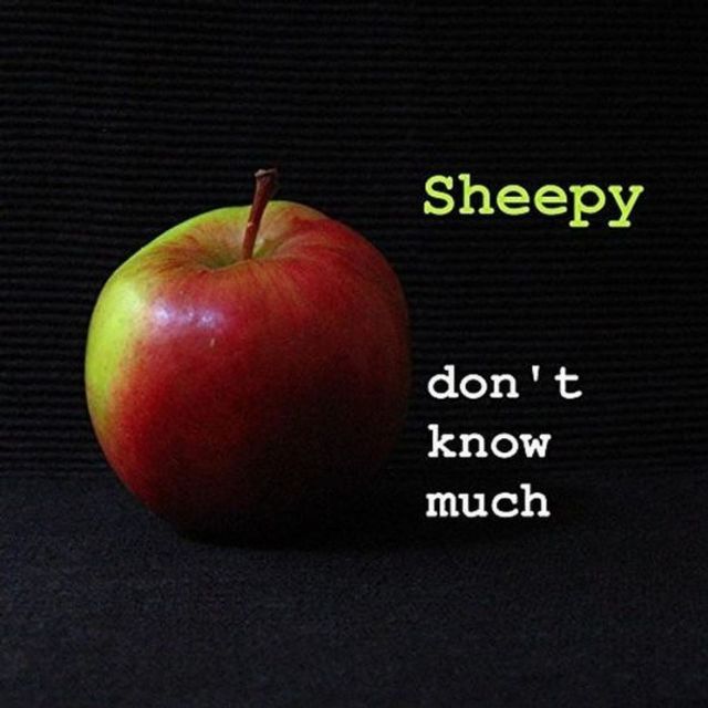 Sheepy/Lucyâ¿¿s Diary [Split Single]