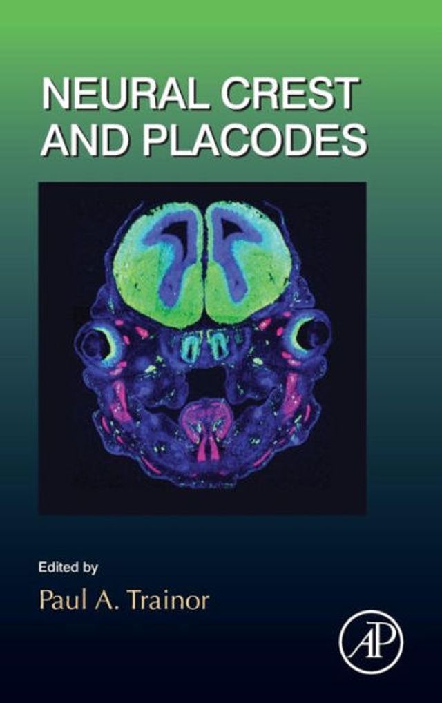 Neural Crest and Placodes