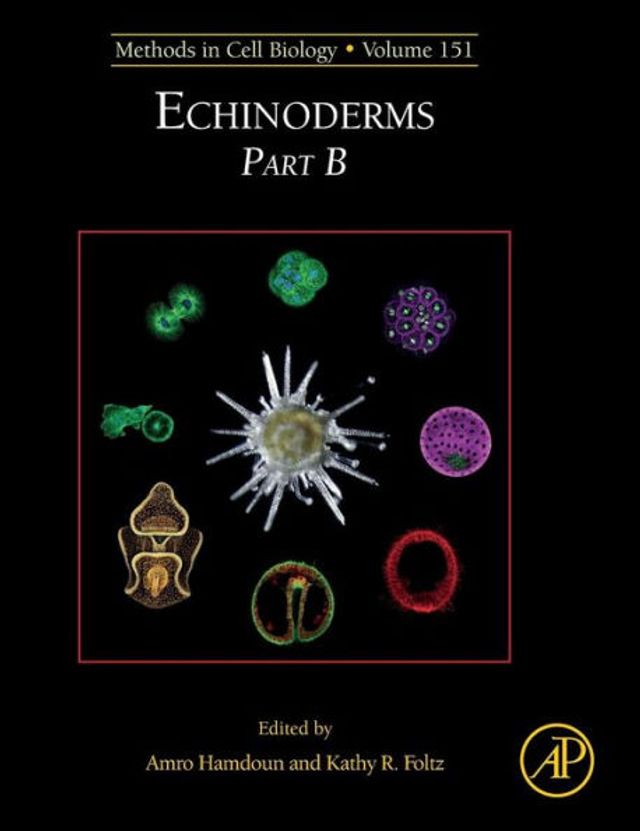 Echinoderms Part B