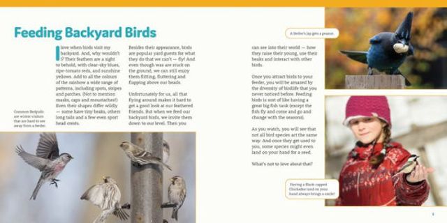 How to Feed Backyard Birds: A Step-by-Step Guide for Kids