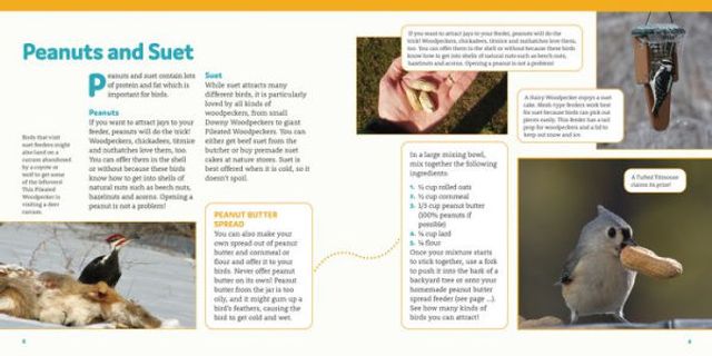 How to Feed Backyard Birds: A Step-by-Step Guide for Kids