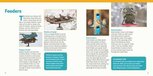 How to Feed Backyard Birds: A Step-by-Step Guide for Kids