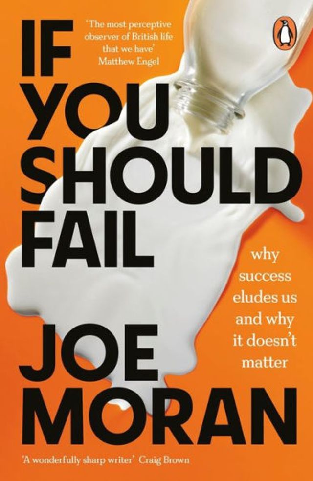 If You Should Fail: Why Success Eludes Us and It Doesn't Matter