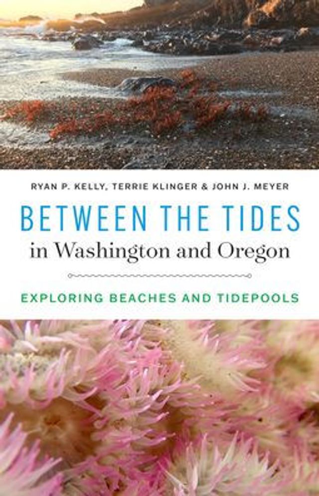 Between the Tides Washington and Oregon: Exploring Beaches Tidepools