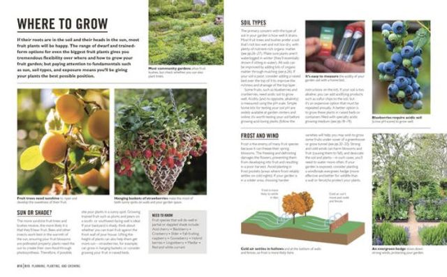 Grow Fruit: Essential Know-how and Expert Advice for Gardening Success