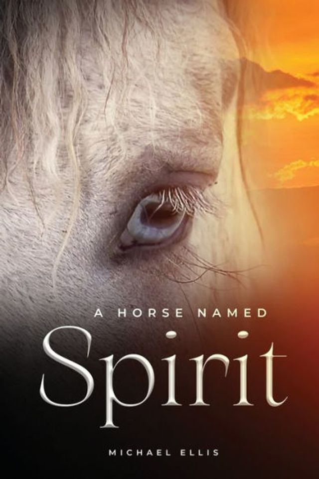 A Horse Named Spirit