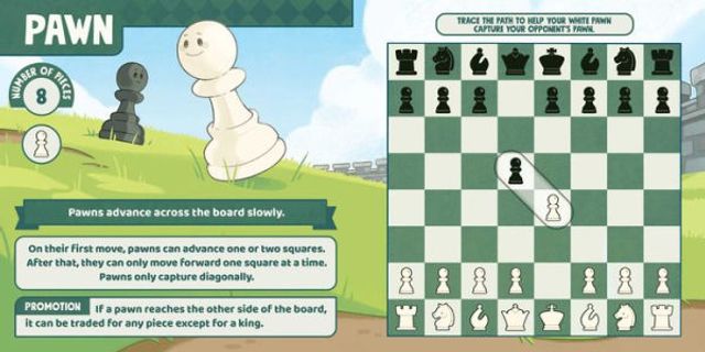 Baby Plays Chess: Trace the Moves with Your Finger