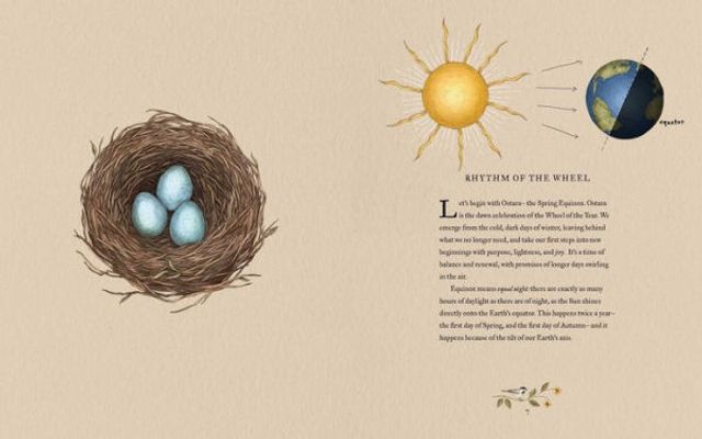 the Wheel of Year: An Illustrated Guide to Nature's Rhythms