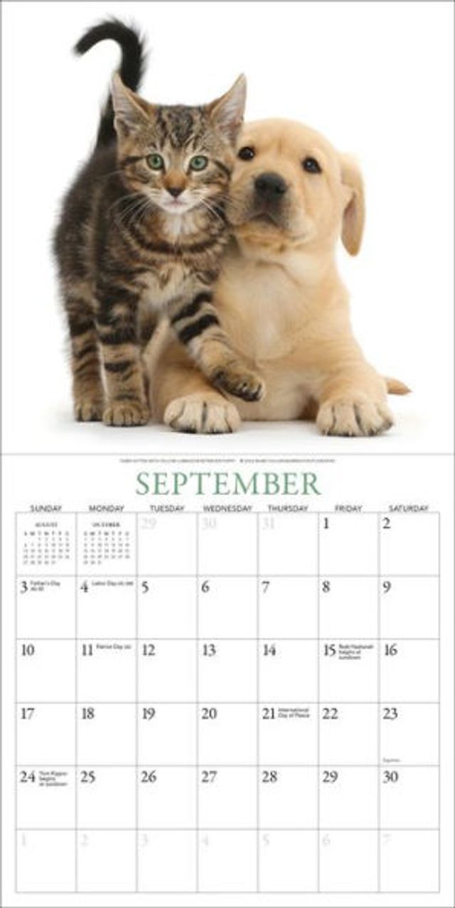 Barnes and Noble 2023 Kittens  Friends Mini Wall Calendar | The Summit