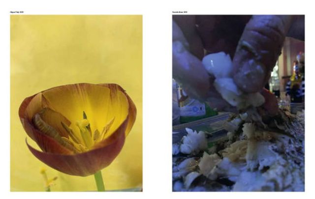Wolfgang Tillmans: To look without fear