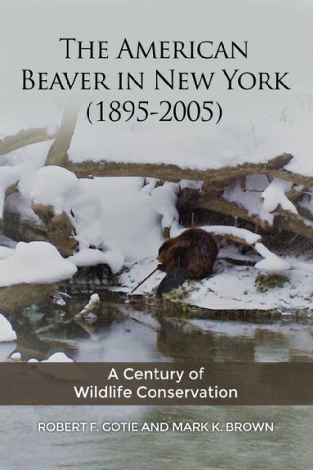 The American Beaver New York (1895-2005): A Century of Wildlife Conservation