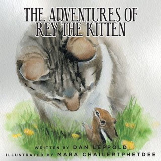 the Adventures of Rey Kitten