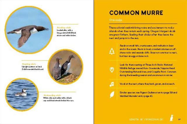 Birds of the Oregon Coast