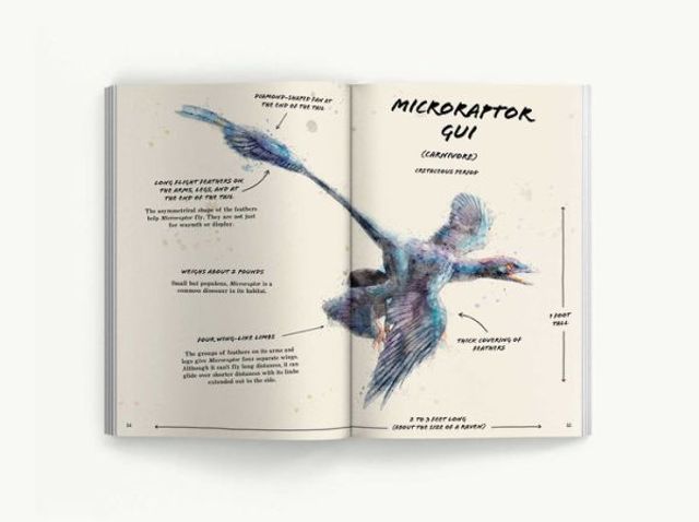 The Ultimate Dinosaur Field Guide: Prehistoric Explorer's Handbook