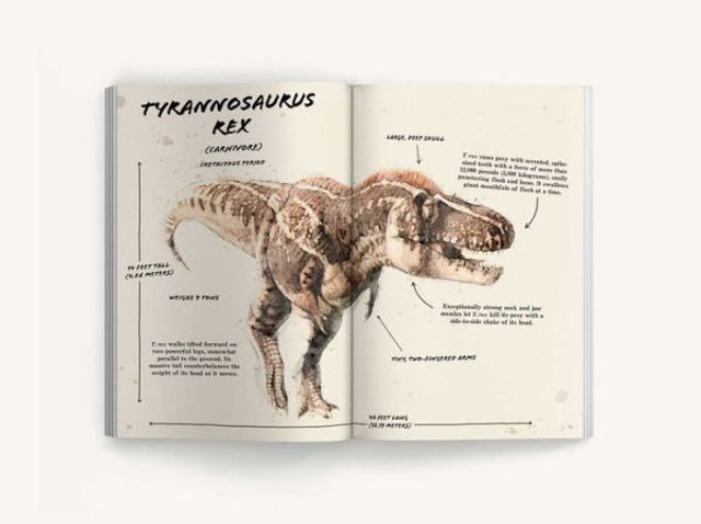 The Ultimate Dinosaur Field Guide: Prehistoric Explorer's Handbook