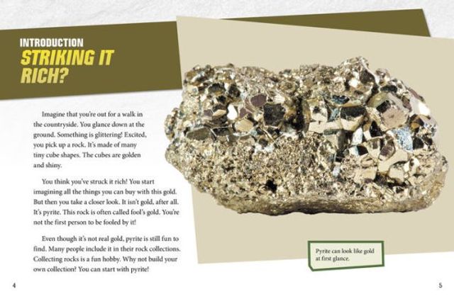 Dig and Discover Pyrite