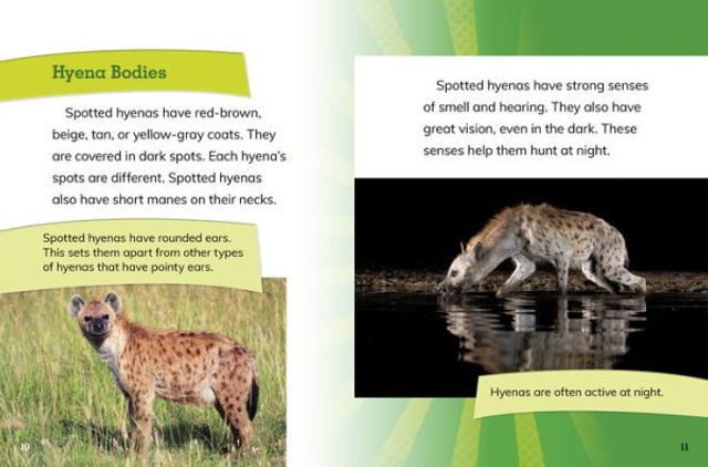 Female Spotted Hyenas: Commanders of the Clan