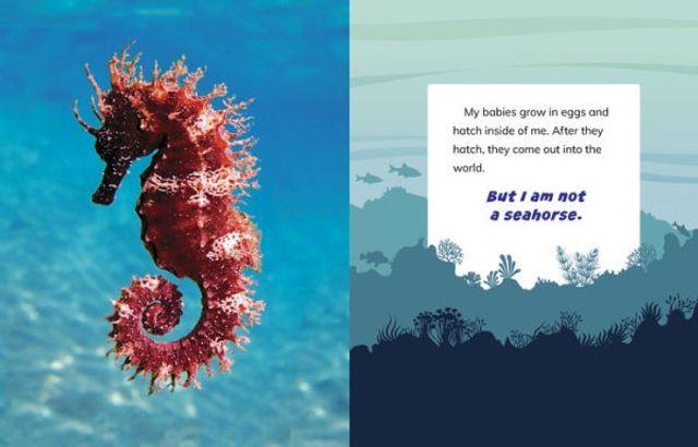 I Am Not an Octopus: Animals the Ocean