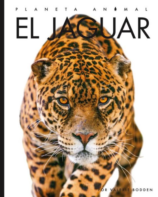 Barnes & Noble El jaguar | The Summit