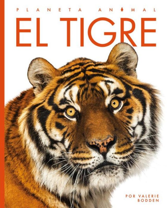 El tigre