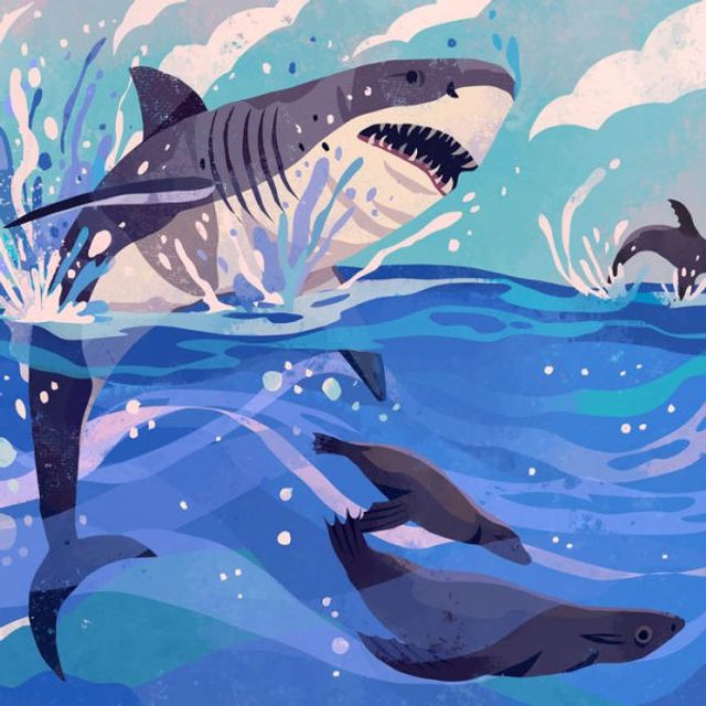 Sharks (A Day the Life): What Do Great Whites, Hammerheads, and Whale Get Up To All Day?