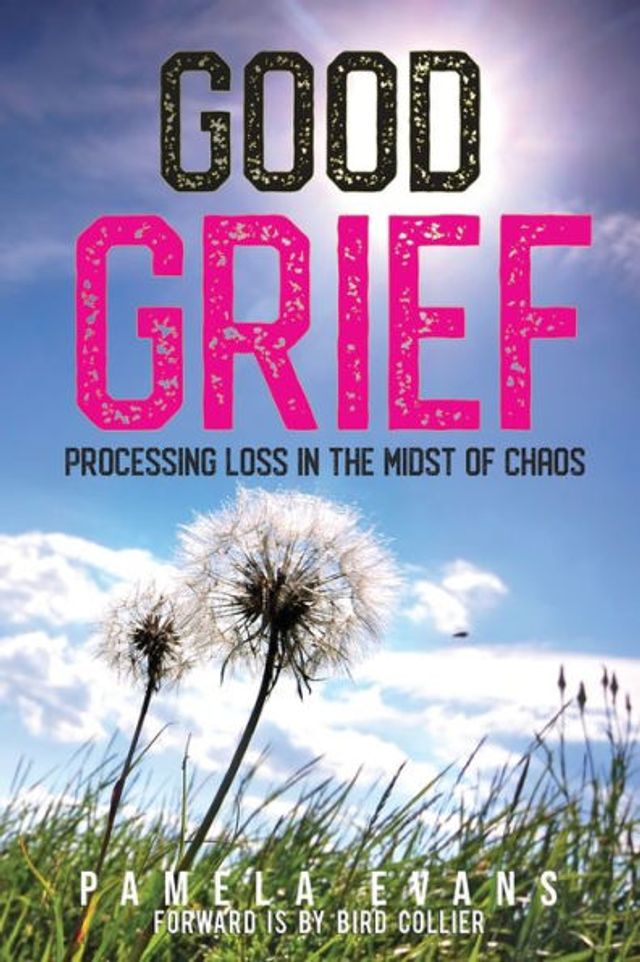 Good Grief: Processing Loss the Midst of Chaos