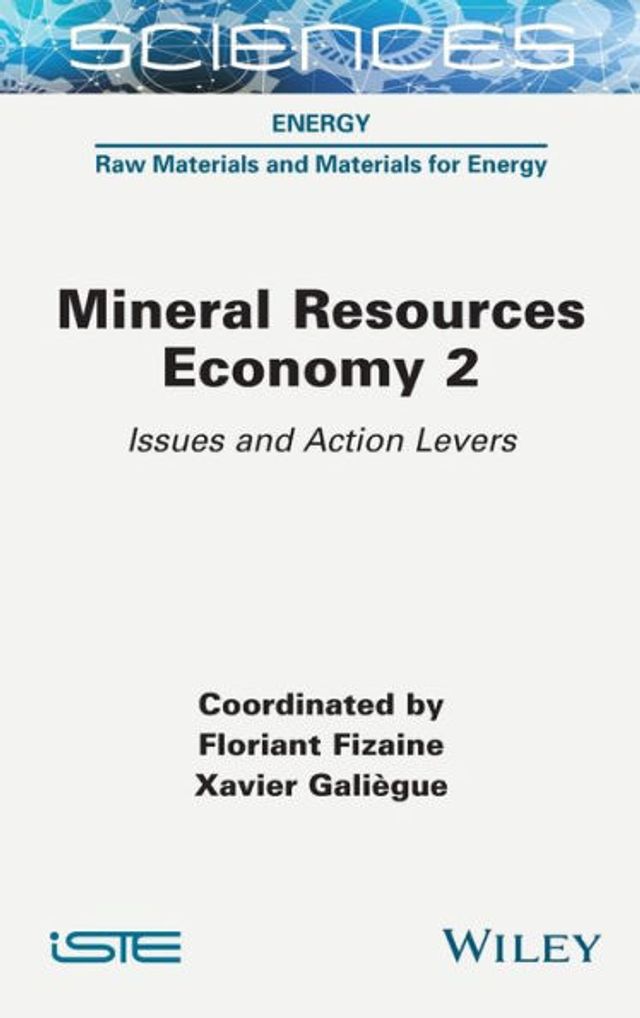 Mineral Resource Economy 2: Issues and Action Levers