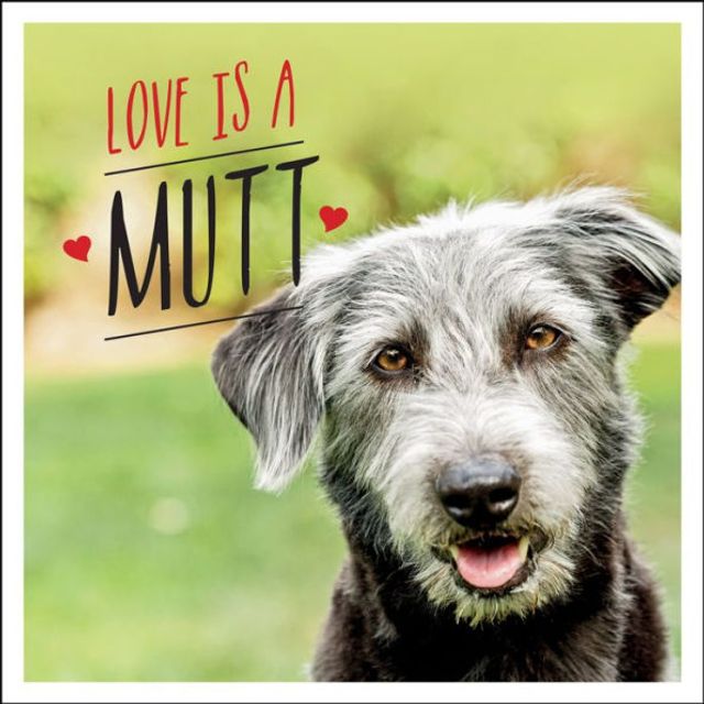Love is A Mutt: Dog-tastic Celebration of the World's Cutest Mixed and Cross Breeds