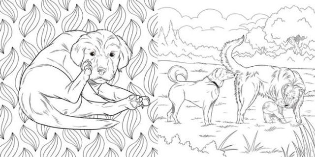 The Dog Butt Coloring Book: Adult Coloring Book