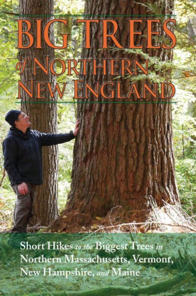 Big Trees of Northern New England