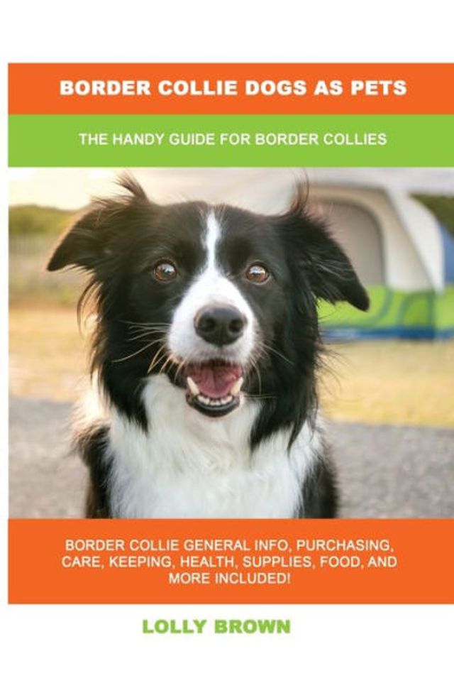 are border collies dogs good sheep dogs