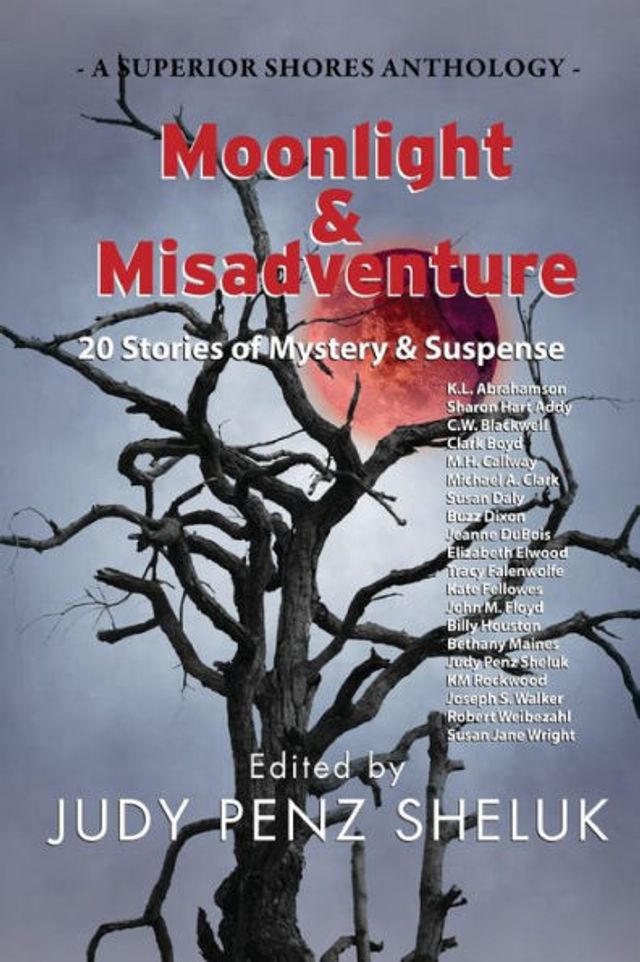 Moonlight & Misadventure: 20 Stories of Mystery Suspense