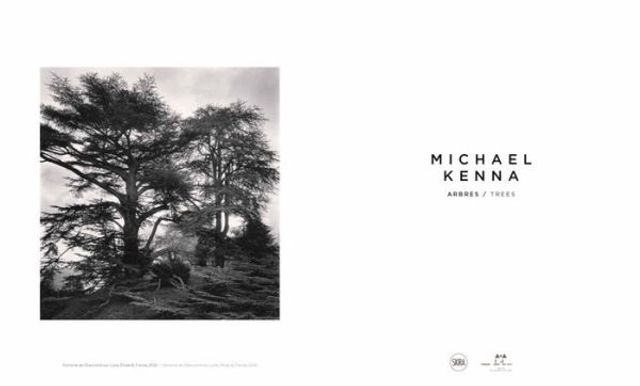 Michael Kenna: Trees