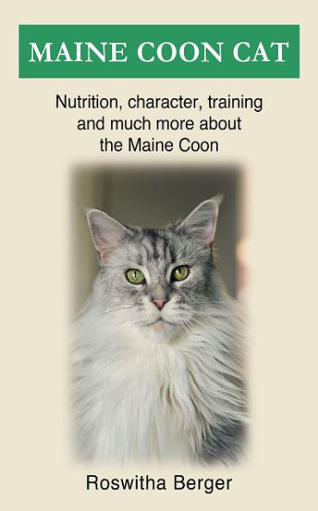 Barnes and Noble Maine Coon cat: Nutrition, character, training much more about the Maine Coon | The Summit