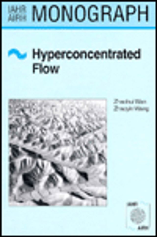 Hyperconcentrated Flow / Edition 1