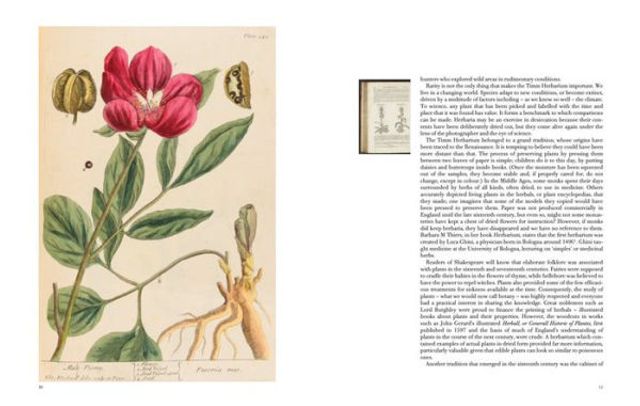 Collecting Nature: The History of the Herbarium and Natural Specimens