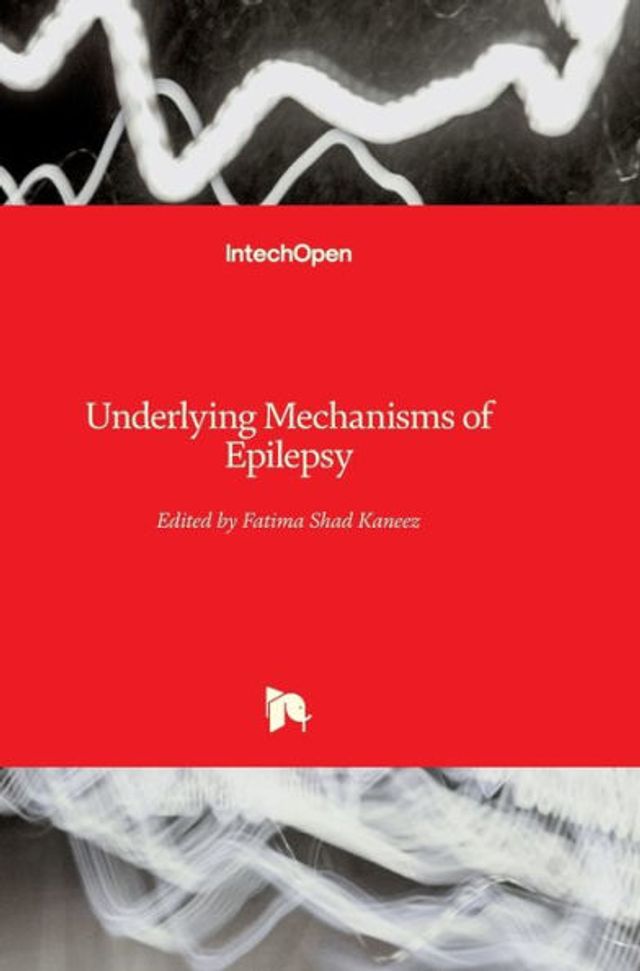 Underlying Mechanisms of Epilepsy