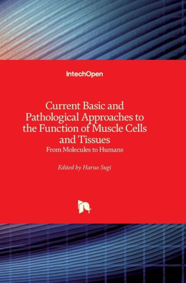 Current Basic and Pathological Approaches to the Function of Muscle Cells and Tissues: From Molecules to Humans