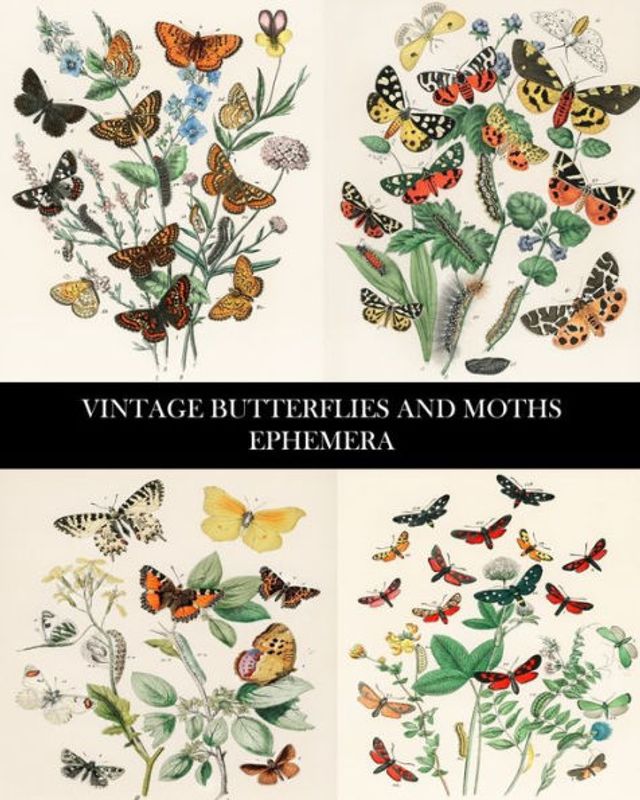 Vintage Butterflies and Moths Ephemera: 35 Sheets: One-Sided Lepidopterology Decorative Paper